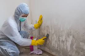 Best Crawl Space Mold Remediation  in Landis, NC